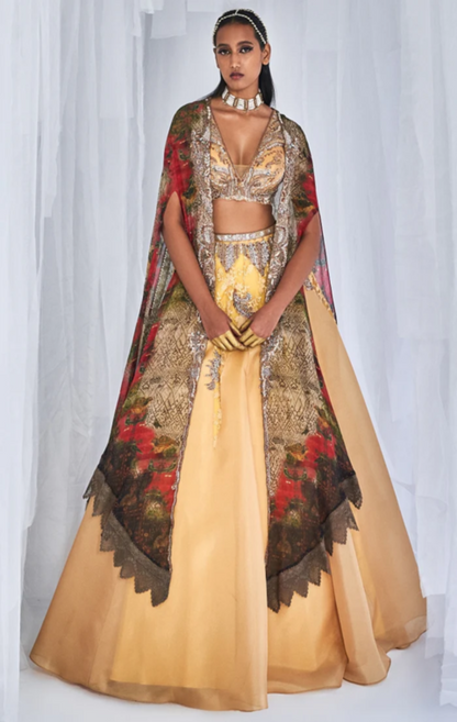 "Aaleyah" Organza Lehenga Set