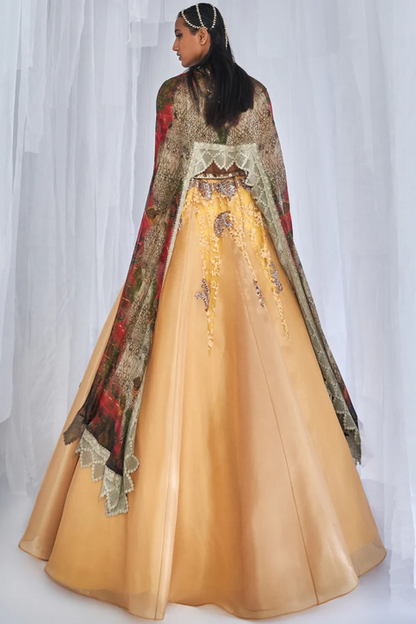 "Aaleyah" Organza Lehenga Set